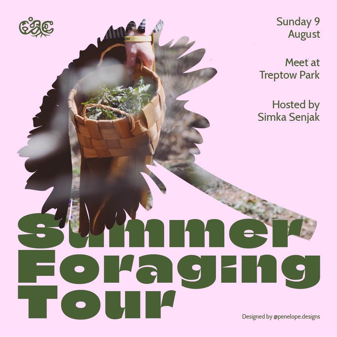 Climate Action Community: Summer Foraging Tour