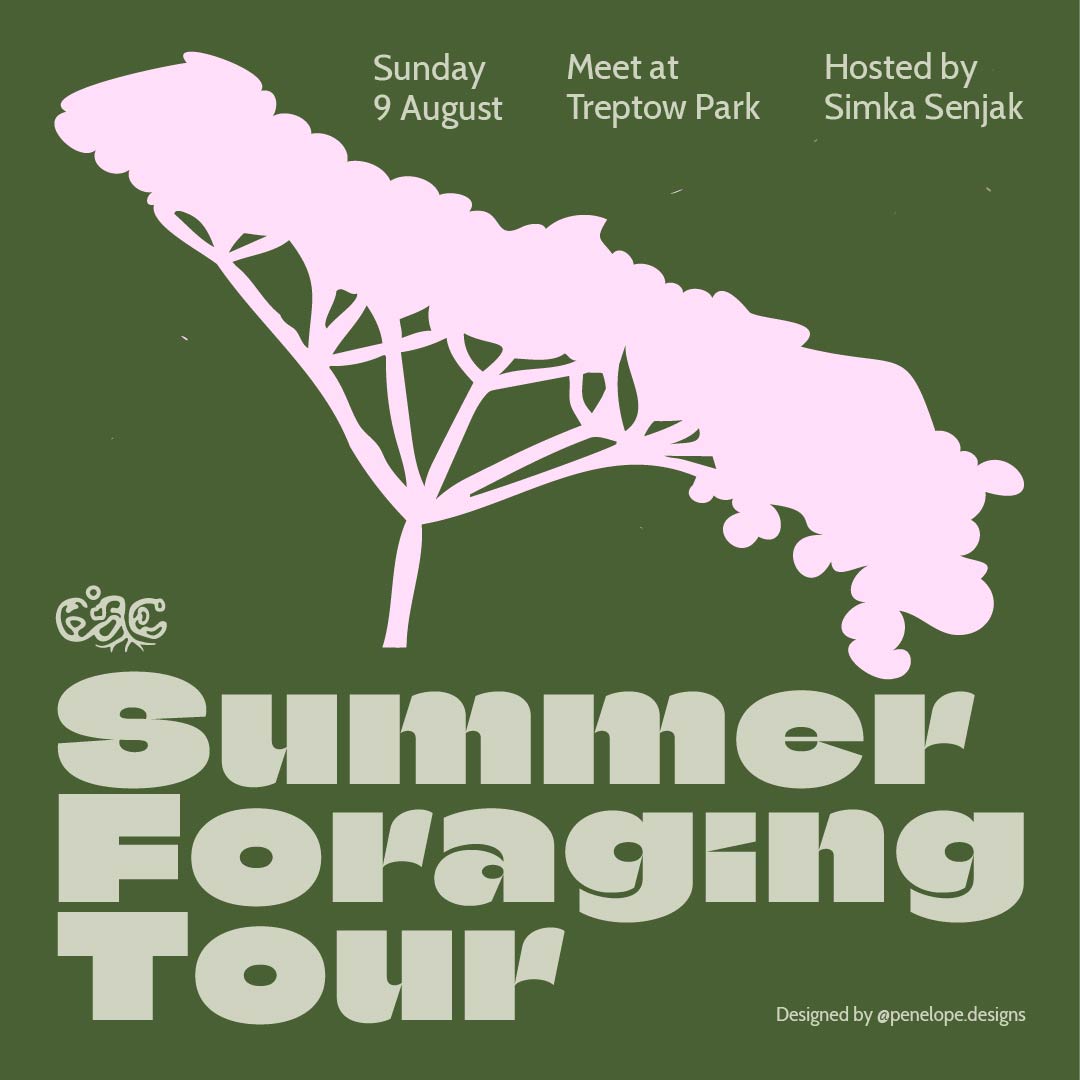 Climate Action Community: Summer Foraging Tour