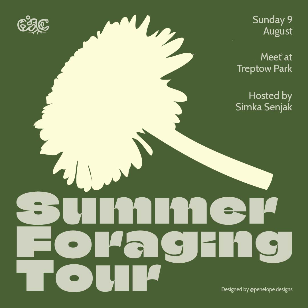 Climate Action Community: Summer Foraging Tour