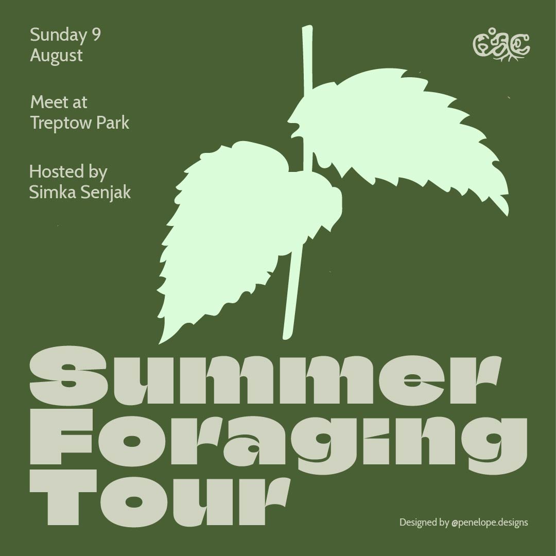 Climate Action Community: Summer Foraging Tour