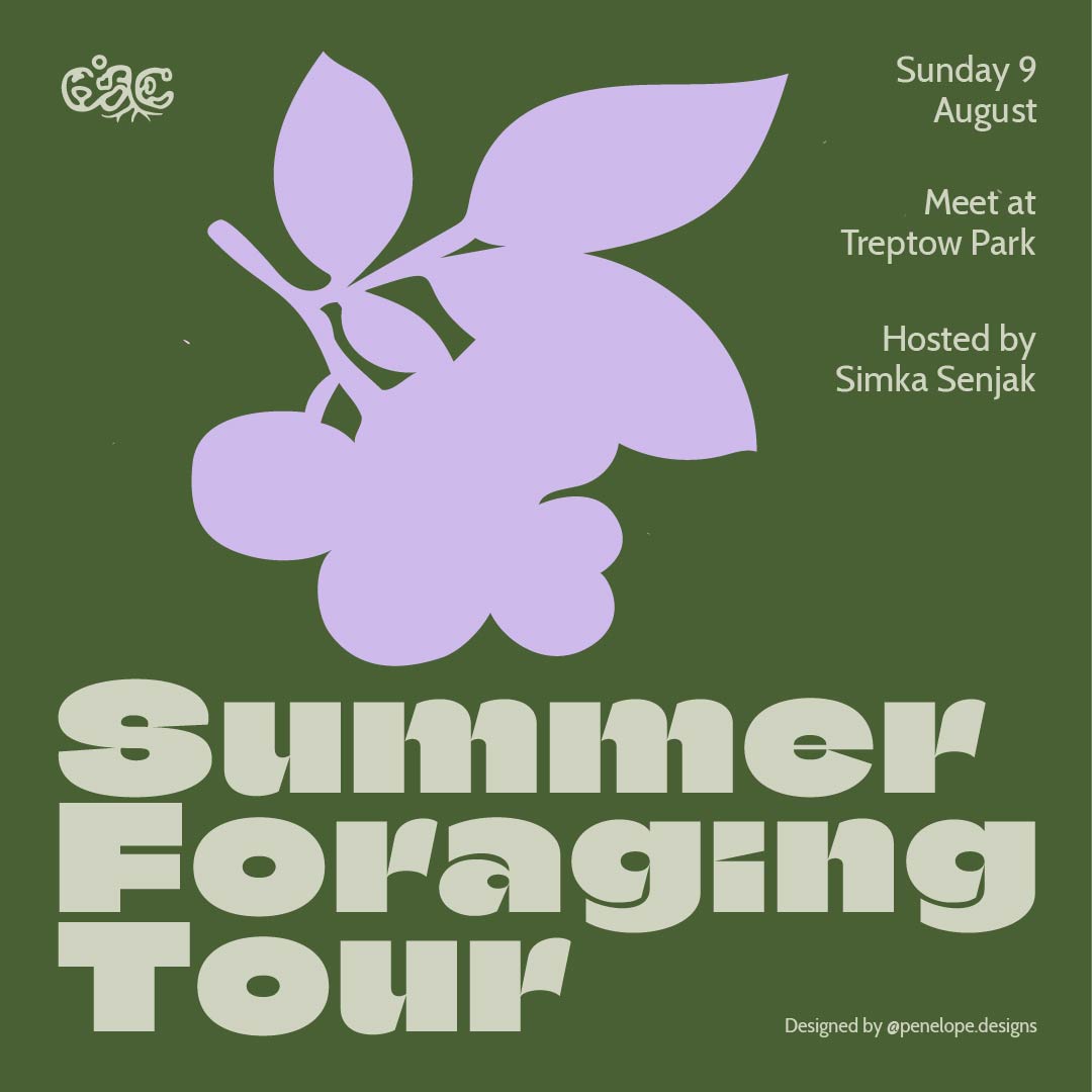 Climate Action Community: Summer Foraging Tour