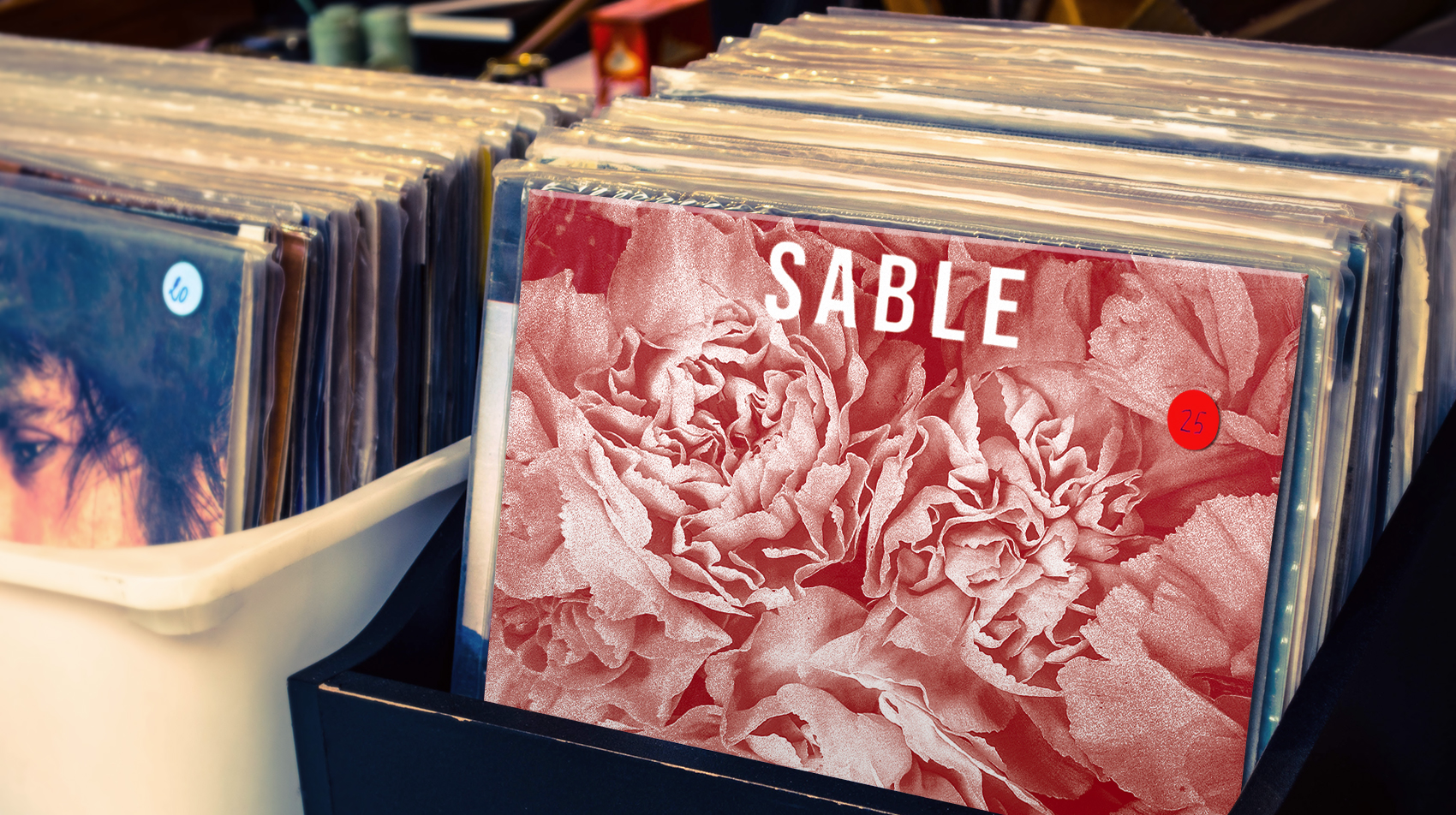 SABLE: Album in shop